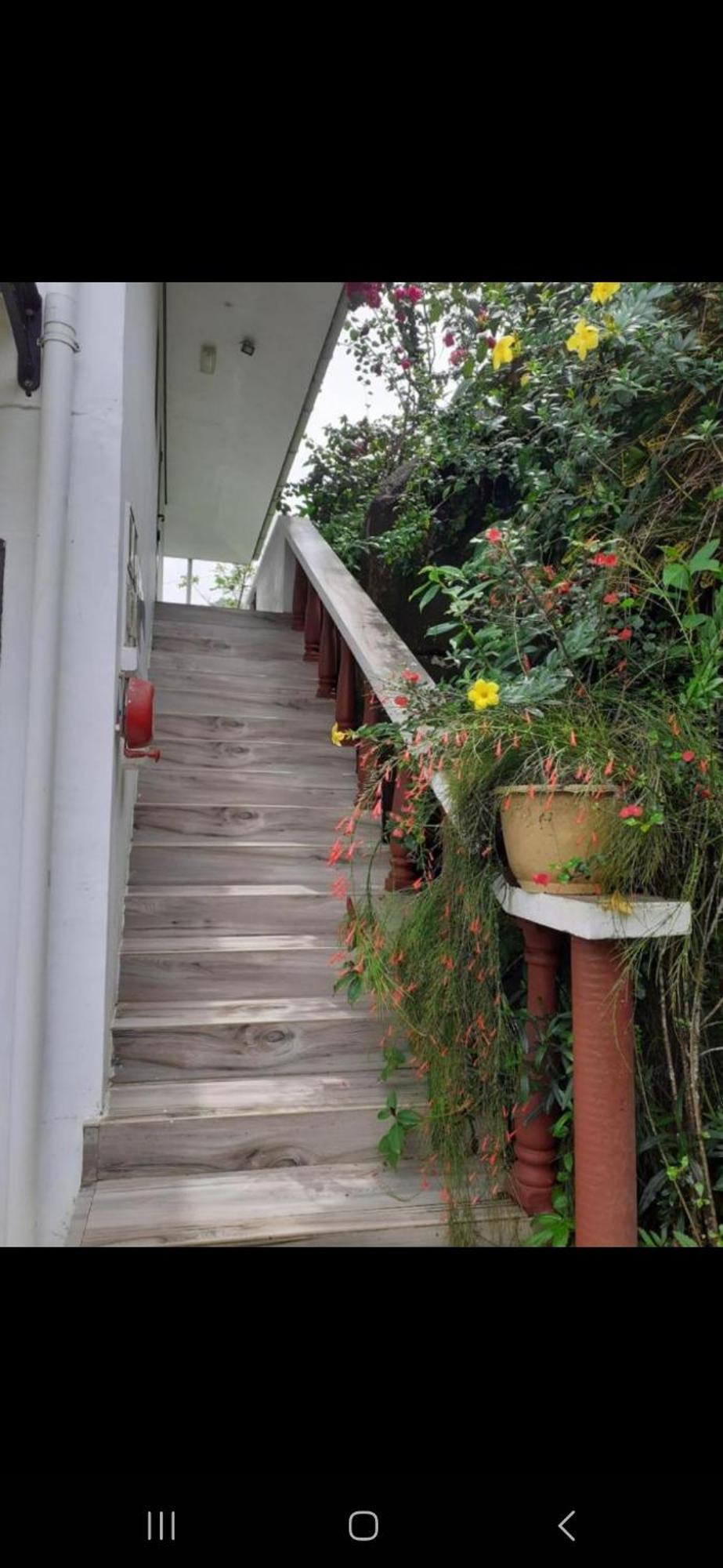 Gigi'S Self Catering Apartment Port Glaud Zewnętrze zdjęcie